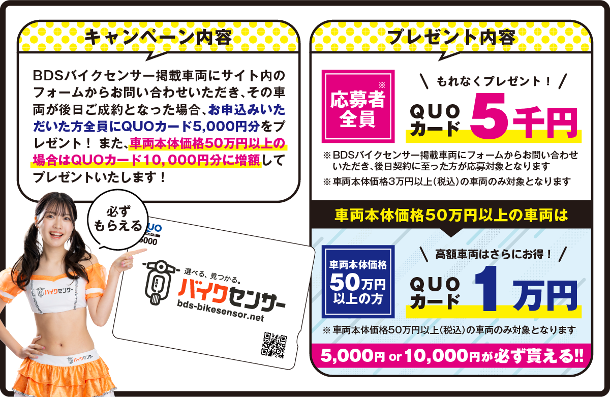キャンペーンについて