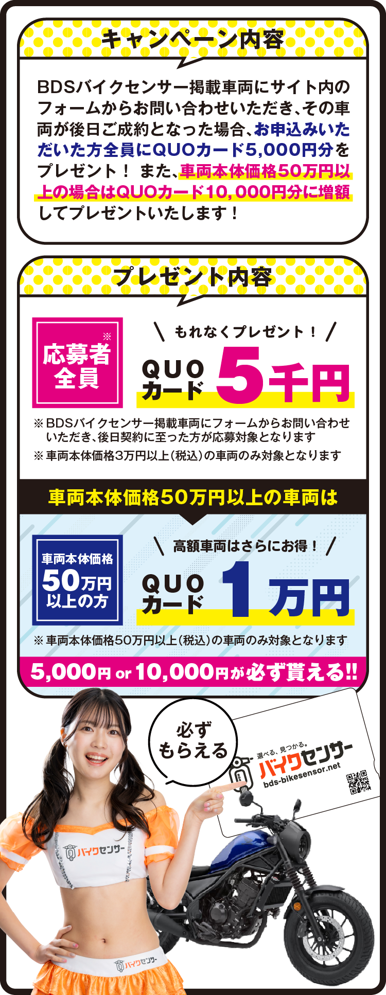 キャンペーンについて
