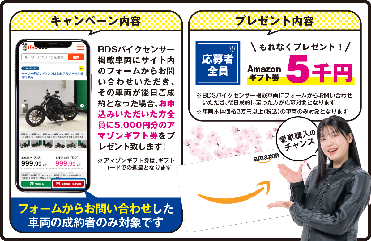 キャンペーンについて