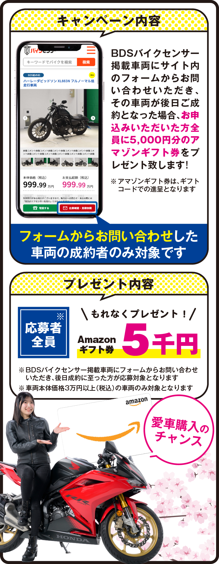 キャンペーンについて